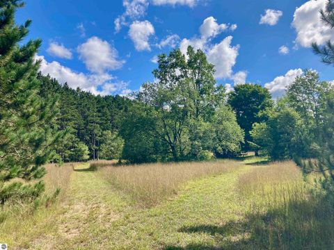 Tiny photo for 3800 N 13 Road, Mesick, MI 49668 (MLS # 1942844)