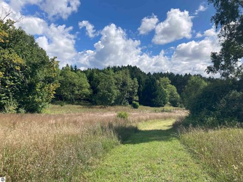 Tiny photo for 3800 N 13 Road, Mesick, MI 49668 (MLS # 1942844)