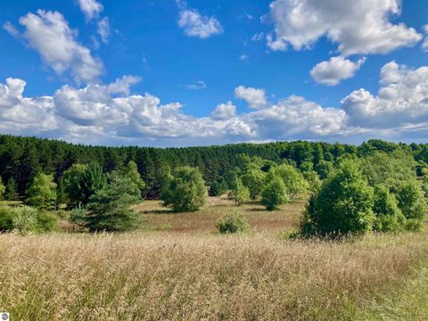 Tiny photo for 3800 N 13 Road, Mesick, MI 49668 (MLS # 1942844)