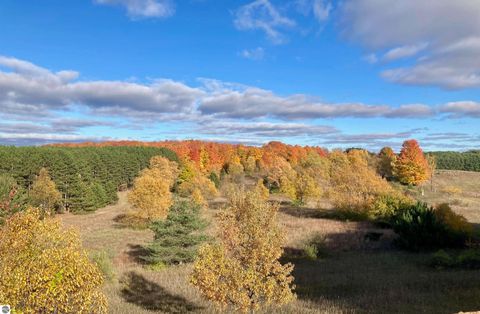 Tiny photo for 3800 N 13 Road, Mesick, MI 49668 (MLS # 1942844)