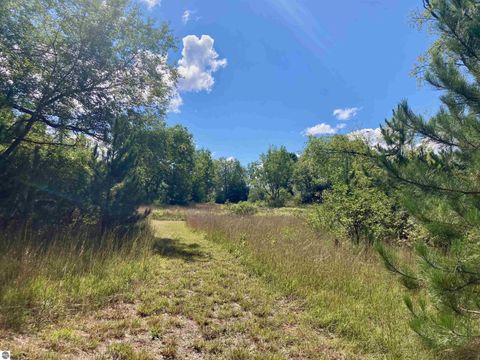 Tiny photo for 3800 N 13 Road, Mesick, MI 49668 (MLS # 1942844)