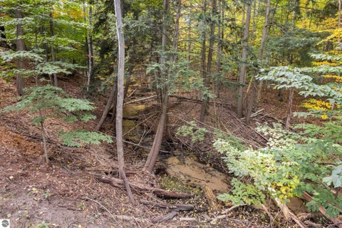 Tiny photo for 4467 S Rainbow Court, Williamsburg, MI 49690 (MLS # 1951654)