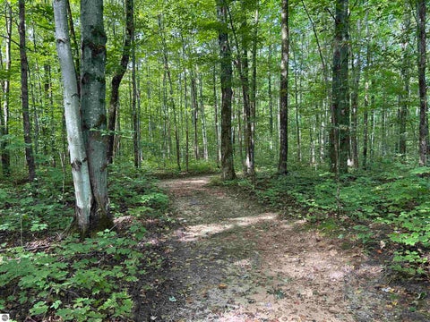 Tiny photo for 9325 NE Barnhart Road, Mancelona, MI 49659 (MLS # 1950751)
