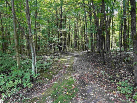 Tiny photo for 9325 NE Barnhart Road, Mancelona, MI 49659 (MLS # 1950751)