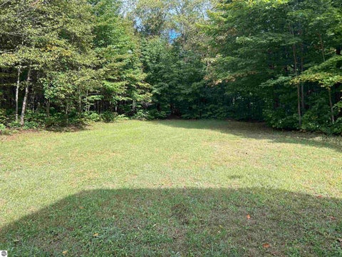 Tiny photo for 9325 NE Barnhart Road, Mancelona, MI 49659 (MLS # 1950751)