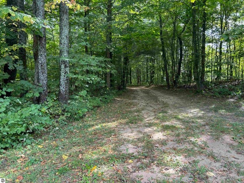 Tiny photo for 9325 NE Barnhart Road, Mancelona, MI 49659 (MLS # 1950751)