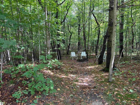 Tiny photo for 9325 NE Barnhart Road, Mancelona, MI 49659 (MLS # 1950751)