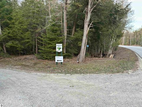 Tiny photo for 93 County Road 441, Manistique, MI 49854 (MLS # 1945464)