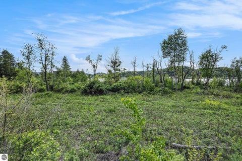Tiny photo for 9 Lake Street, Frankfort, MI 49635 (MLS # 1947434)