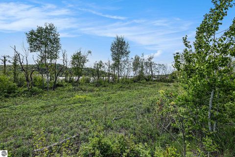 Tiny photo for 9 Lake Street, Frankfort, MI 49635 (MLS # 1947434)