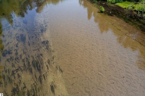 Tiny photo for W Plum Valley Road NW, Rapid City, MI 49676 (MLS # 1942873)