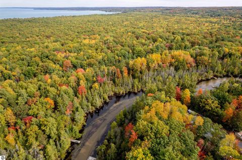 Tiny photo for W Plum Valley Road NW, Rapid City, MI 49676 (MLS # 1942873)