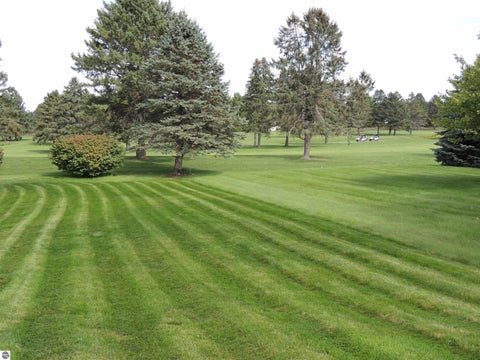 Tiny photo for 1010 Tee Drive, Lake Isabella, MI 48893 (MLS # 1950544)