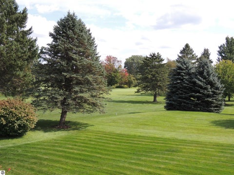 Tiny photo for 1010 Tee Drive, Lake Isabella, MI 48893 (MLS # 1950544)