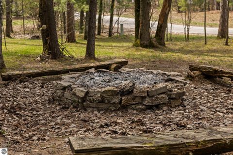 Tiny photo for 318 E Bear Lake Road, Kalkaska, MI 49646 (MLS # 1944285)