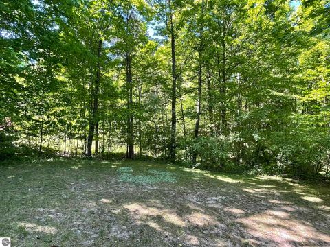 Tiny photo for 7430 River Street, Benzonia, MI 49616 (MLS # 1948498)