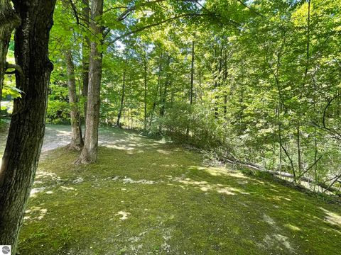 Tiny photo for 7430 River Street, Benzonia, MI 49616 (MLS # 1948498)