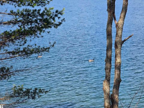 Tiny photo for 9269 Gedman Road, Mancelona, MI 49659 (MLS # 1945613)