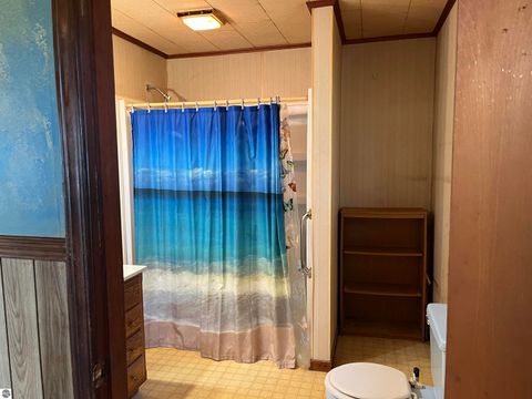 Tiny photo for 2600 W Schmeid Road, Six Lakes, MI 48886 (MLS # 1946078)
