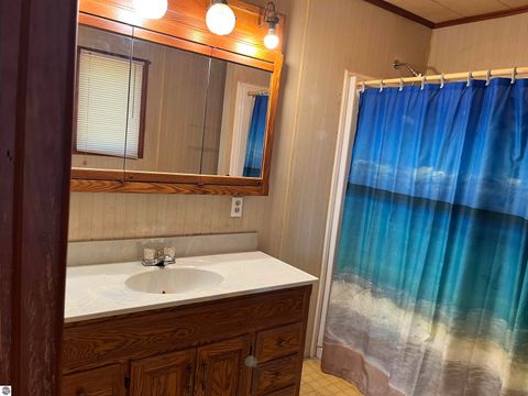 Tiny photo for 2600 W Schmeid Road, Six Lakes, MI 48886 (MLS # 1946078)