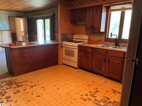 Tiny photo for 2600 W Schmeid Road, Six Lakes, MI 48886 (MLS # 1946078)