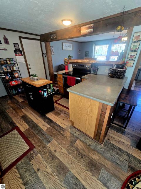 Tiny photo for 10061 W Cadillac Road, Cadillac, MI 49601 (MLS # 1945018)