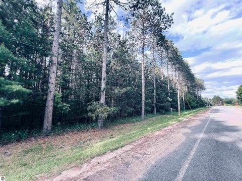 Tiny photo for 5905 E Moorestown Road, Lake City, MI 49651 (MLS # 1946943)