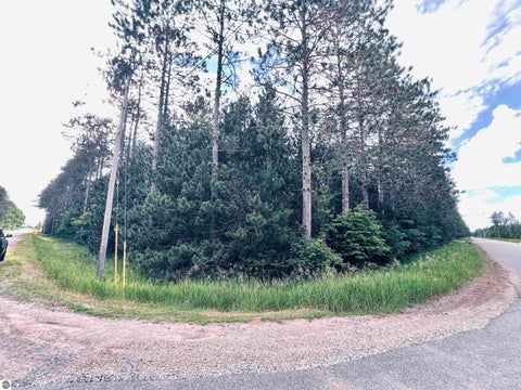 Tiny photo for 5905 E Moorestown Road, Lake City, MI 49651 (MLS # 1946943)