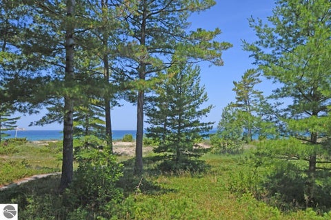 Tiny photo for 23 South Beach #23, Glen Arbor, MI 49636 (MLS # 1948038)
