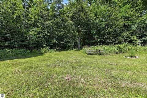 Tiny photo for 9556 County Road 633, Buckley, MI 49620 (MLS # 1948497)