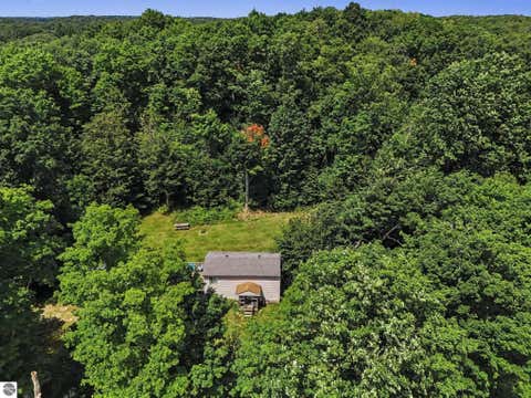 Tiny photo for 9556 County Road 633, Buckley, MI 49620 (MLS # 1948497)