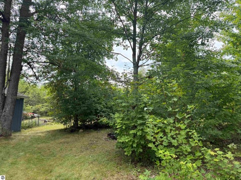 Tiny photo for 23567 Faylor RD, Copemish, MI 49625 (MLS # 1949000)