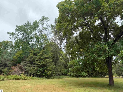 Tiny photo for 23567 Faylor RD, Copemish, MI 49625 (MLS # 1949000)