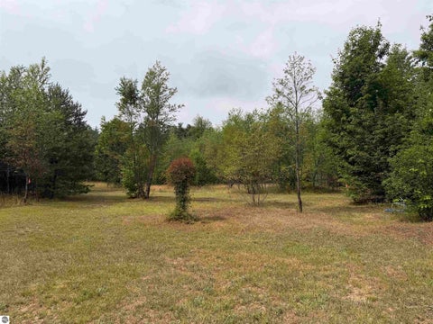 Tiny photo for 23567 Faylor RD, Copemish, MI 49625 (MLS # 1949000)