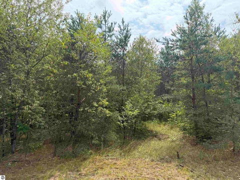 Tiny photo for 23567 Faylor RD, Copemish, MI 49625 (MLS # 1949000)