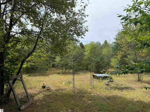 Tiny photo for 23567 Faylor RD, Copemish, MI 49625 (MLS # 1949000)