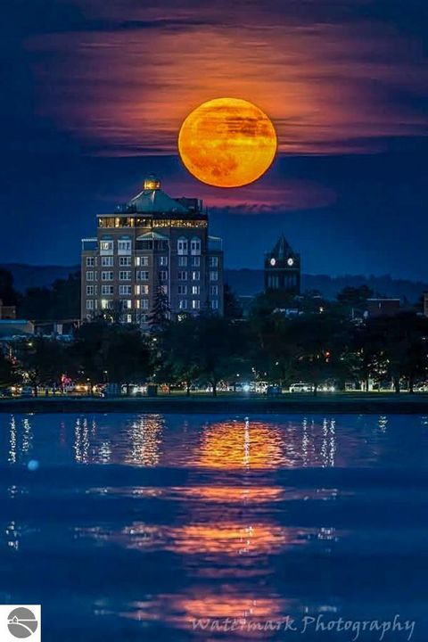 Tiny photo for 619 E Eighth St #14, Traverse City, MI 49686 (MLS # 1942780)