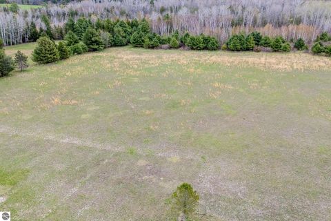 Tiny photo for 7945 Cherry Avenue, Rapid City, MI 49676 (MLS # 1944369)