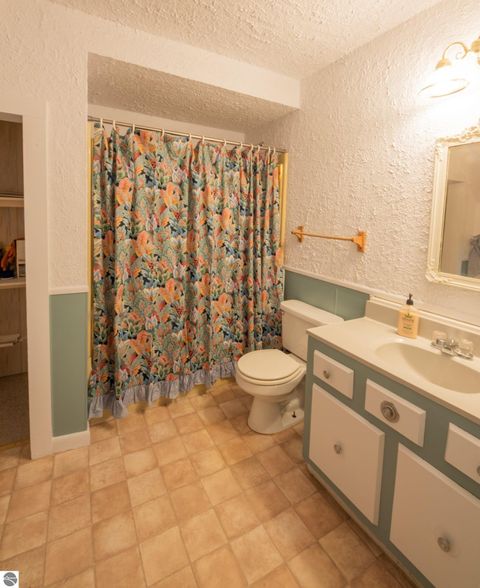 Tiny photo for 903 N Bridge Street, Bellaire, MI 49615 (MLS # 1943552)