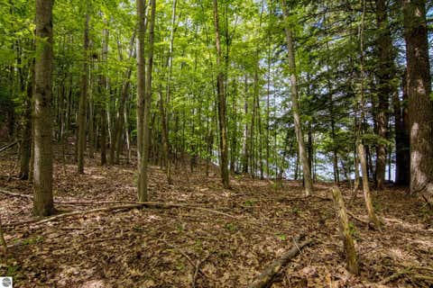 Tiny photo for 16043 Wagner Road, Empire, MI 49630 (MLS # 1947589)