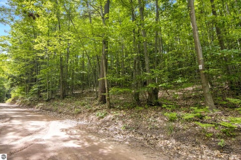 Tiny photo for 16043 Wagner Road, Empire, MI 49630 (MLS # 1947589)