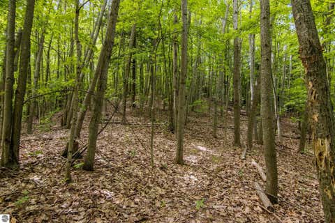 Tiny photo for 16043 Wagner Road, Empire, MI 49630 (MLS # 1947589)
