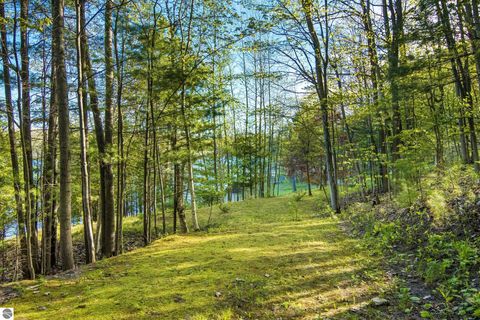 Tiny photo for 16533 Wagner Road, Lake Ann, MI 49650 (MLS # 1945607)