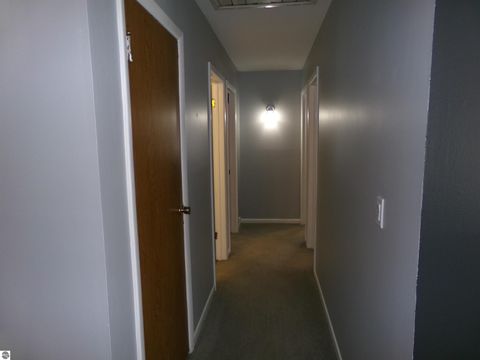 Tiny photo for 1006 Cheesman Road, St Louis, MI 48880 (MLS # 1942183)