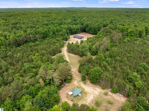 Tiny photo for 4459 Ely Road, Honor, MI 49640 (MLS # 1947533)