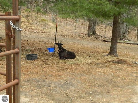 Tiny photo for 5651 E Haskell Lake Road, Harrison, MI 48625 (MLS # 1943392)