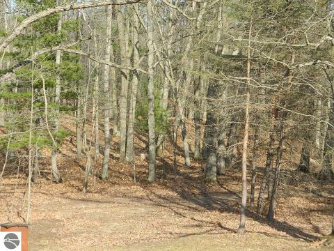 Tiny photo for 5651 E Haskell Lake Road, Harrison, MI 48625 (MLS # 1943392)