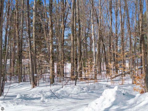 Tiny photo for 1111 SE East Lake Drive, Kalkaska, MI 49646 (MLS # 1943350)