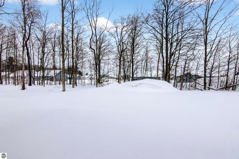 Tiny photo for 2134 Cottonwood Avenue, Grawn, MI 49637 (MLS # 1943196)