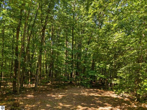 Tiny photo for 3460 W Sanborn Road, Lake City, MI 49651 (MLS # 1948690)